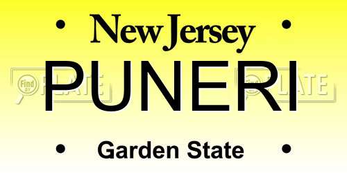 PUNERI New Jersey License Plate