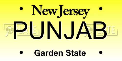 PUNJAB New Jersey License Plate