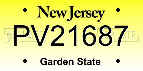 PV21687 New Jersey License Plate