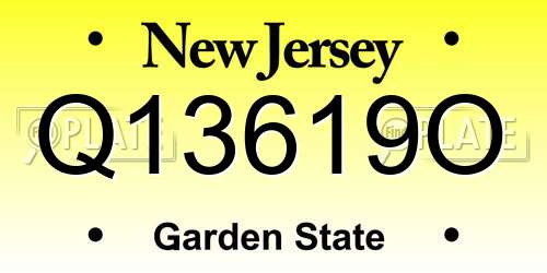 Q13619O New Jersey License Plate