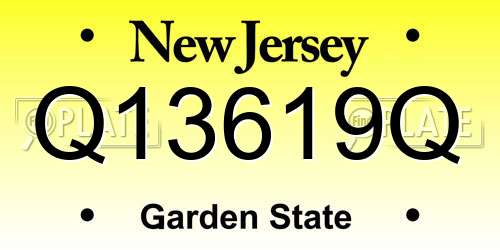 Q13619Q New Jersey License Plate