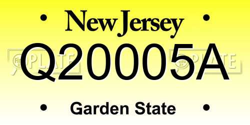Q20005A New Jersey License Plate
