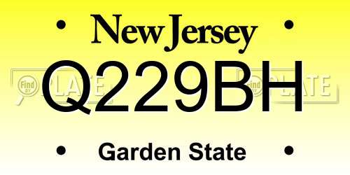 Q229BH New Jersey License Plate