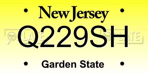 Q229SH New Jersey License Plate