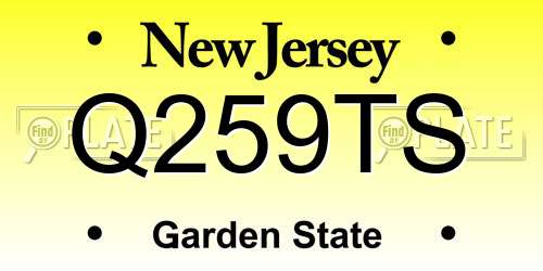 Q259TS New Jersey License Plate