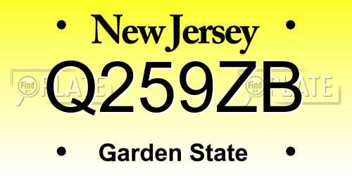 Q259ZB New Jersey License Plate