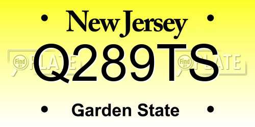 Q289TS New Jersey License Plate