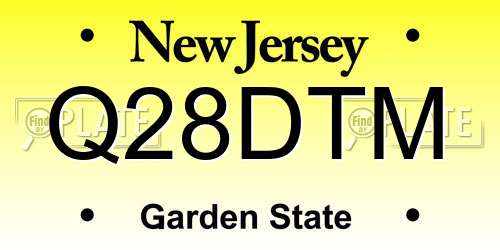 Q28DTM New Jersey License Plate