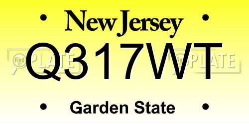 Q317WT New Jersey License Plate