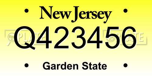 Q423456 New Jersey License Plate