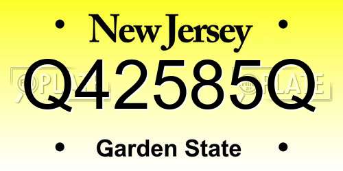 Q42585Q New Jersey License Plate