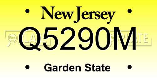 Q5290M New Jersey License Plate