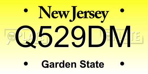 Q529DM New Jersey License Plate