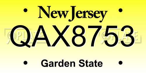 QAX8753 New Jersey License Plate