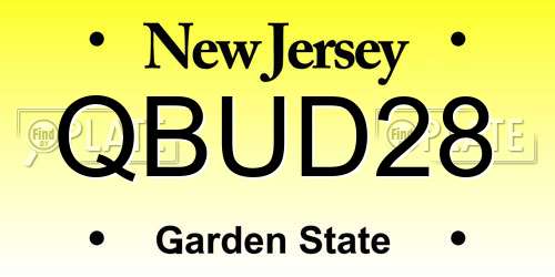 QBUD28 New Jersey License Plate