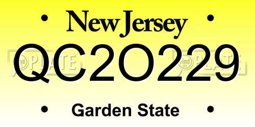 QC2O229 New Jersey License Plate