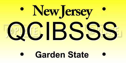 QCIBSSS New Jersey License Plate