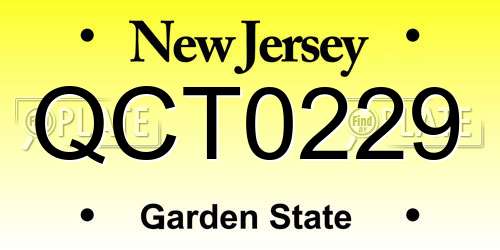 QCT0229 New Jersey License Plate