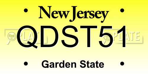 QDST51 New Jersey License Plate