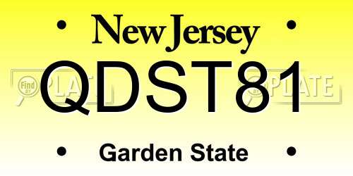 QDST81 New Jersey License Plate