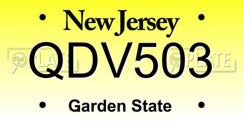 QDV503 New Jersey License Plate