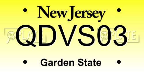 QDVS03 New Jersey License Plate