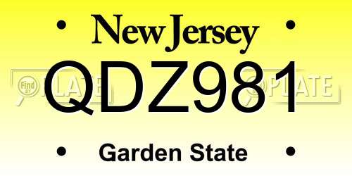 QDZ981 New Jersey License Plate