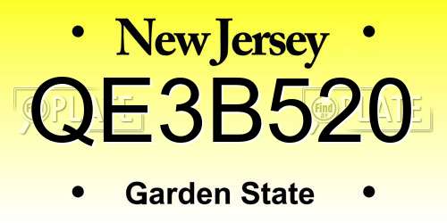 QE3B520 New Jersey License Plate