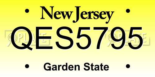 QES5795 New Jersey License Plate
