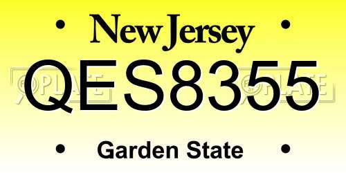 QES8355 New Jersey License Plate