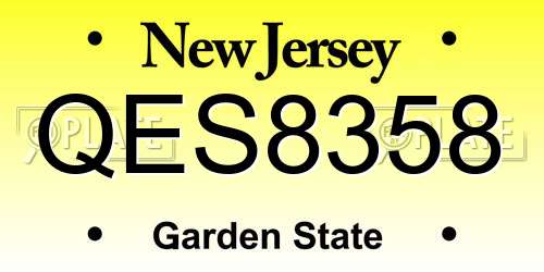 QES8358 New Jersey License Plate