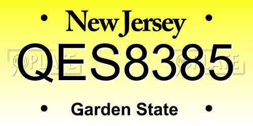 QES8385 New Jersey License Plate