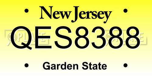 QES8388 New Jersey License Plate