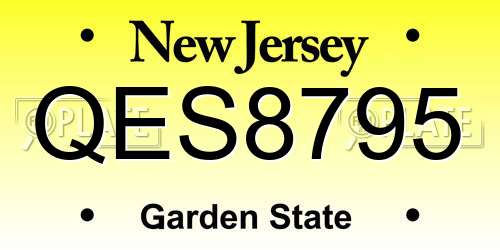 QES8795 New Jersey License Plate