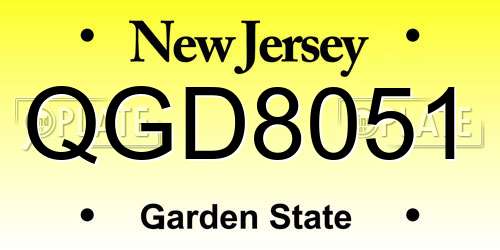 QGD8051 New Jersey License Plate