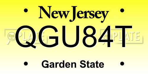 QGU84T New Jersey License Plate