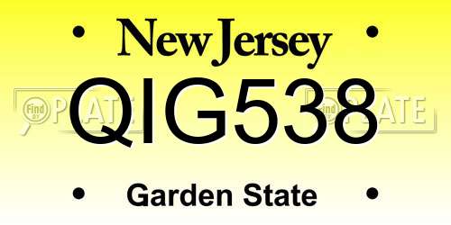 QIG538 New Jersey License Plate
