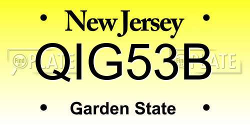 QIG53B New Jersey License Plate