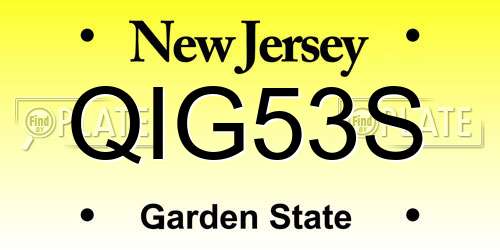 QIG53S New Jersey License Plate