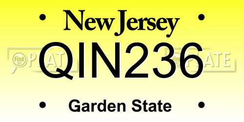QIN236 New Jersey License Plate