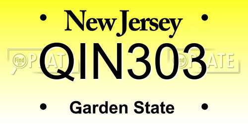 QIN303 New Jersey License Plate