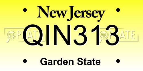 QIN313 New Jersey License Plate