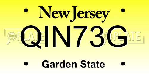 QIN73G New Jersey License Plate