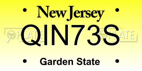 QIN73S New Jersey License Plate