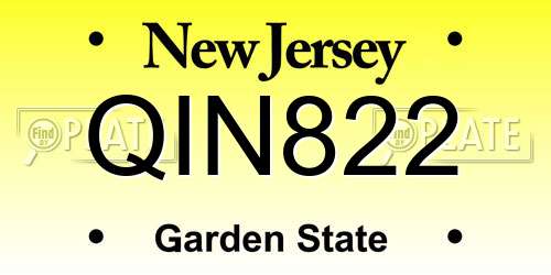 QIN822 New Jersey License Plate