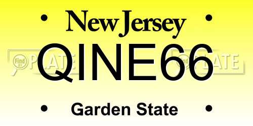 QINE66 New Jersey License Plate