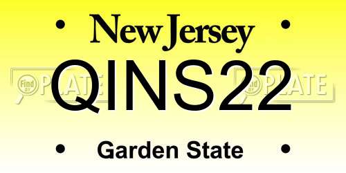 QINS22 New Jersey License Plate
