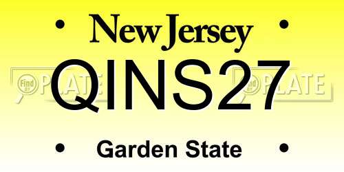 QINS27 New Jersey License Plate