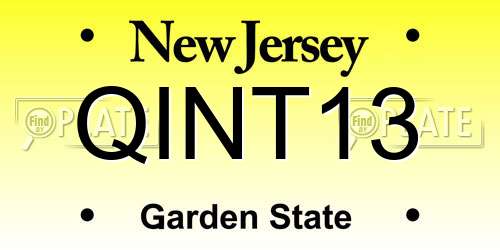 QINT13 New Jersey License Plate