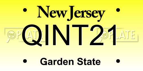 QINT21 New Jersey License Plate